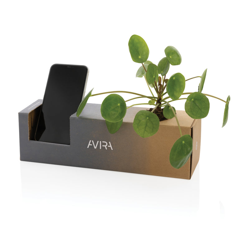 Load image into Gallery viewer, Avira Avior RCS Re-steel bottle 500 ML - Custom Wood Designs