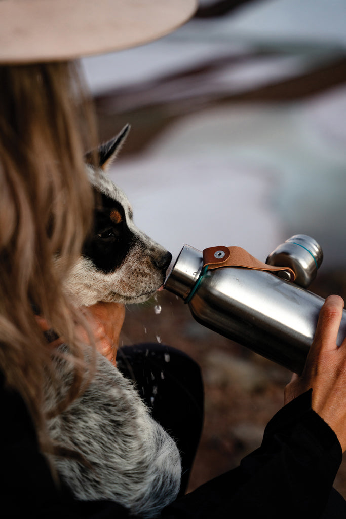 Load image into Gallery viewer, Black+Blum Insulated Water Bottle Small 500ml - Custom Wood Designs