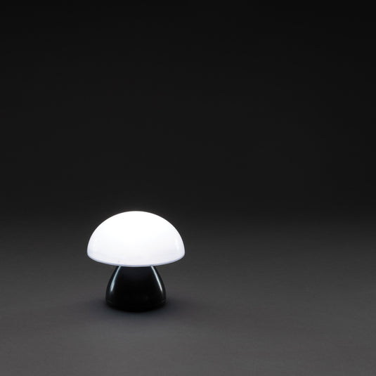 Luming RCS recycled plastic USB re-chargeable table lamp - Custom Wood Designs