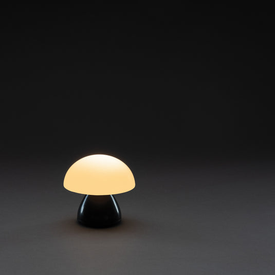 Luming RCS recycled plastic USB re-chargeable table lamp - Custom Wood Designs
