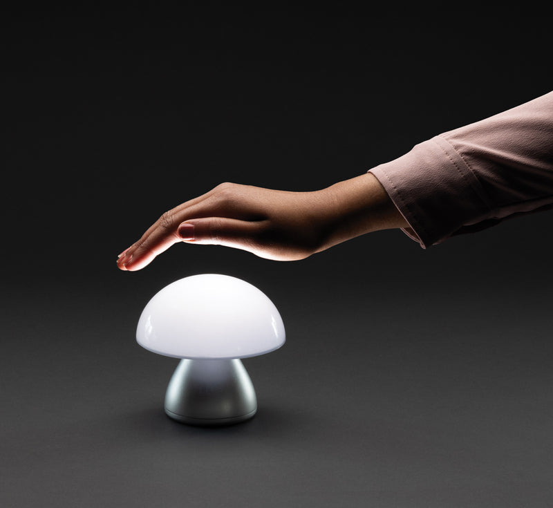 Load image into Gallery viewer, Luming RCS recycled plastic USB re-chargeable table lamp - Custom Wood Designs
