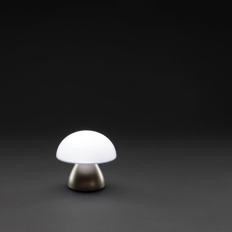 Load image into Gallery viewer, Luming RCS recycled plastic USB re-chargeable table lamp - Custom Wood Designs
