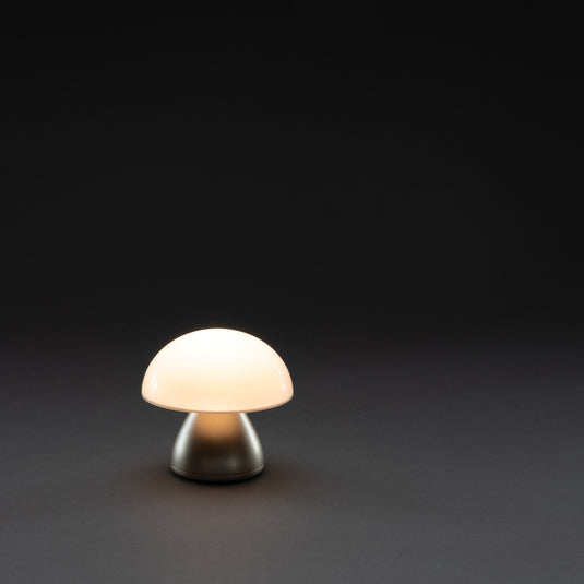 Luming RCS recycled plastic USB re-chargeable table lamp - Custom Wood Designs