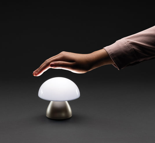 Luming RCS recycled plastic USB re-chargeable table lamp - Custom Wood Designs