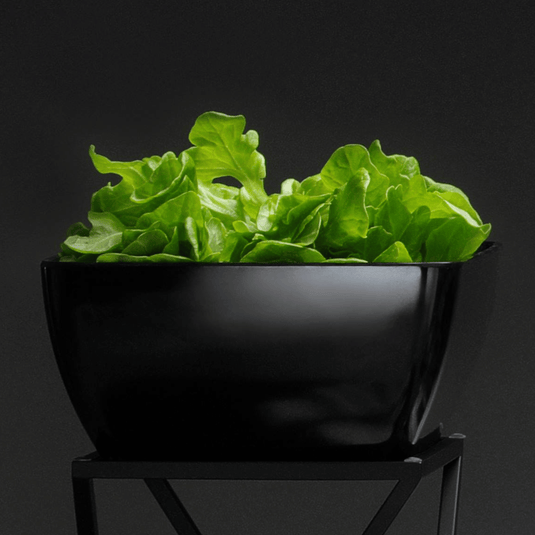 Square Melamine Bowl, Graphite, 190x190x(h)90mm-Square bowl